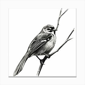 Bird Perched On A Branch 3 Canvas Print