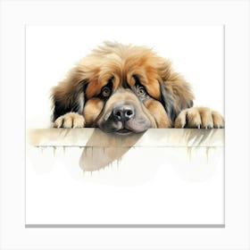 Tibetan Mastiff Dog Canvas Print