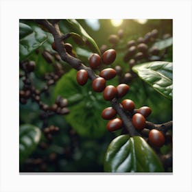 Coffee Tree With Coffee Berries Canvas Print