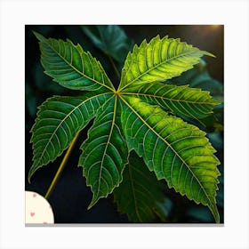 Neem leaf 1 Canvas Print