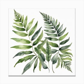 Green fern 7 Canvas Print