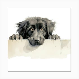 Black Labrador Retriever Canvas Print