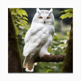 WHITE OWL PORTRAIT Canvas Print