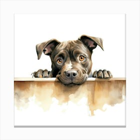 Staffordshire Bull Terrier Dog 4 Canvas Print