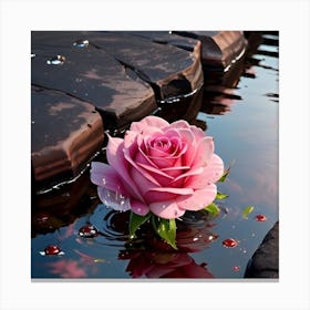 Pink Rose In Water Canvas Print