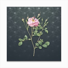 Vintage Anemone Sweetbriar Rose Botanical on Slate Gray Pattern n.1711 Canvas Print