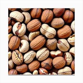 Walnuts And Hazelnuts Canvas Print