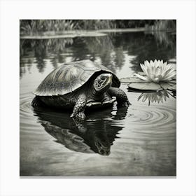 Turtle In Water 3 Canvas Print