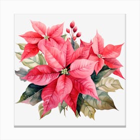 Poinsettia 4 Canvas Print