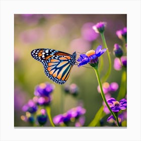 Monarch Butterfly On Purple Flowers Canvas Print