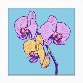 Orchids 15 Canvas Print