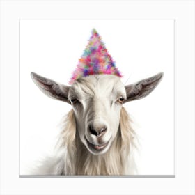 Birthday Goat Canvas Print