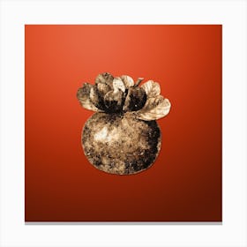 Gold Botanical Bigarade Orange on Tomato Red n.4000 Canvas Print