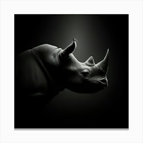 Rhinoceros 1 Canvas Print