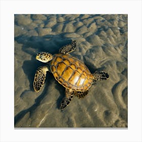 Green Sea Turtle Canvas Print