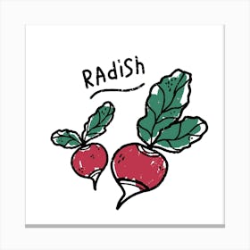 Radish Canvas Print