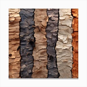 Bark texture Canvas Print