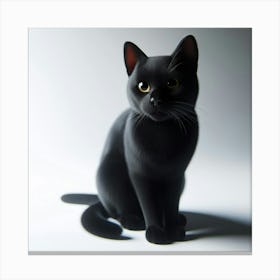 Black Cat 16 Canvas Print
