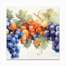 Grapes On The Vine Canvas Print