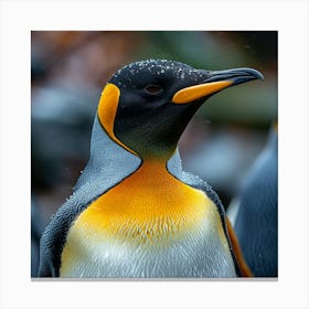 King Penguins Canvas Print