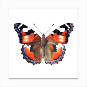 Butterfly On A White Background Canvas Print