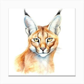 Caracal Cat Portrait 1 Canvas Print