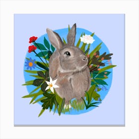 Spring Rabbit Canvas Print