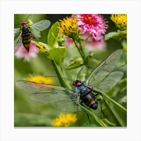 Two Beetles On A Flower Canvas Print