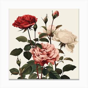 Rose Botanical Art Illustration 1 Canvas Print