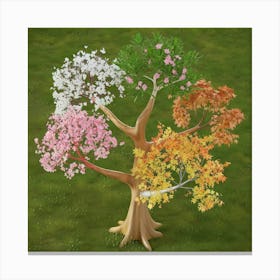 A 3d Render Of A Tree With Four Seasons 2 Lienzo