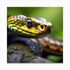 Tiger Snake Canvas Print