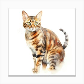 Bengal Rosetted Cat Portrait 1 Canvas Print