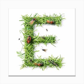 Letter E Canvas Print