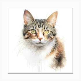 Foldex Cat Portrait 2 Canvas Print