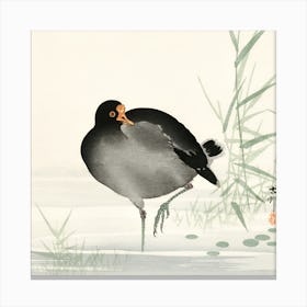 Asian Bird Canvas Print