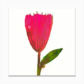 Pink flower Canvas Print