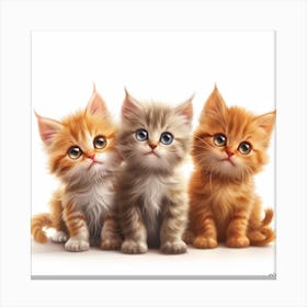Three Kittens Canvas Print