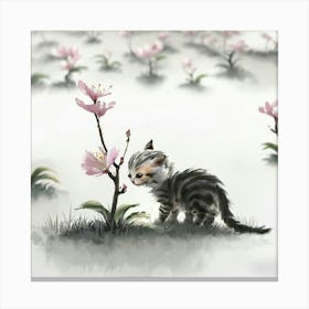 Chinese Kitten Canvas Print