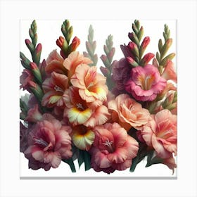 Gladioli flowers 3 Canvas Print