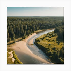 Aerial View Of A River In The Forest Canvas Print