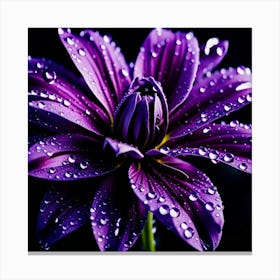 Purple Flower With Water Droplets 1 Canvas Print