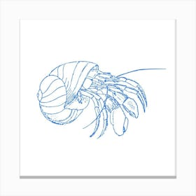 Clam Shell Canvas Print