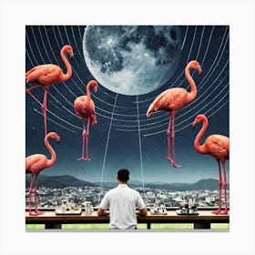 Flamingos 8 Canvas Print