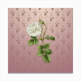 Vintage White Rose of York Botanical on Dusty Pink Pattern n.0597 Canvas Print
