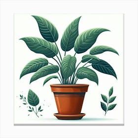 Potted Plant 6 Canvas Print