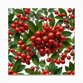 Red Berries On A Branch 1 Canvas Print