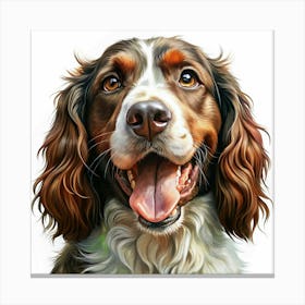 Portrait Of A Happy Springer Spaniel With Brown And White Fur Canvas Print