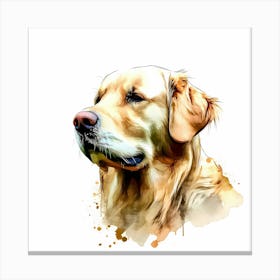 Golden Retriever Canvas Print