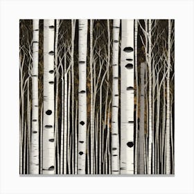 Birch trunks Canvas Print