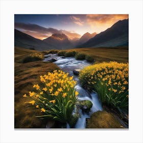 Yellow Daffodils Canvas Print